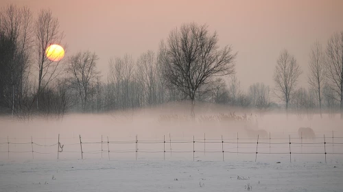 Continua il bel tempo fino a Venerdì, poi più freddo e instabile